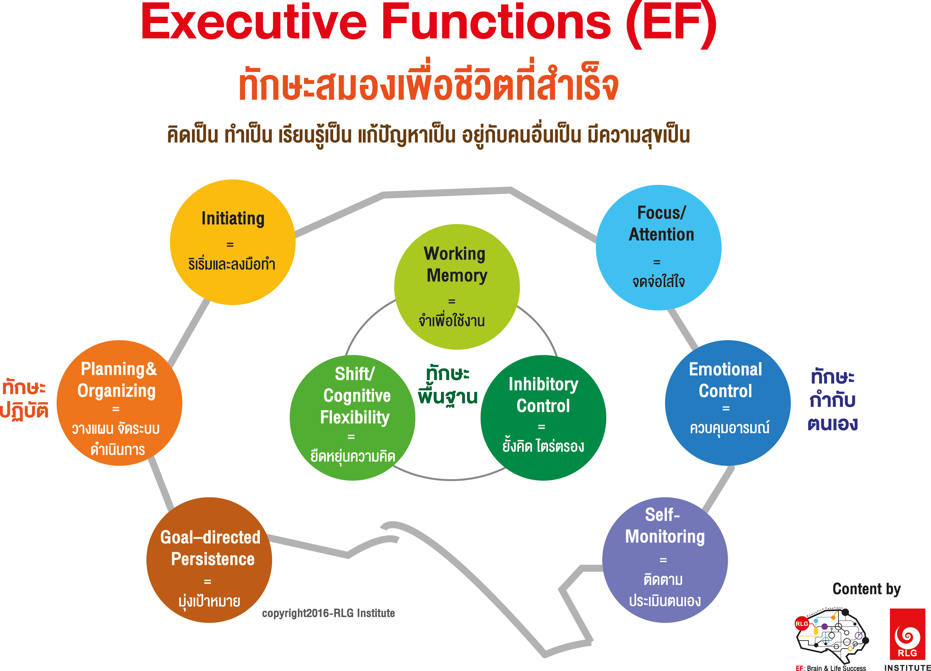 Ef Executive Functions คืออะไร Serazu ร้านหนังสือออนไลน์