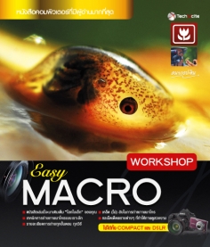 Easy Macro Workshop / LOT
